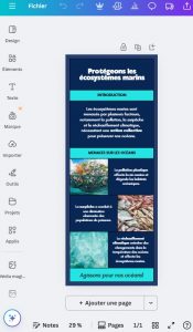 IA canva infographie